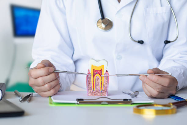 Best Emergency Dental Services for Seniors in Fox Island, WA